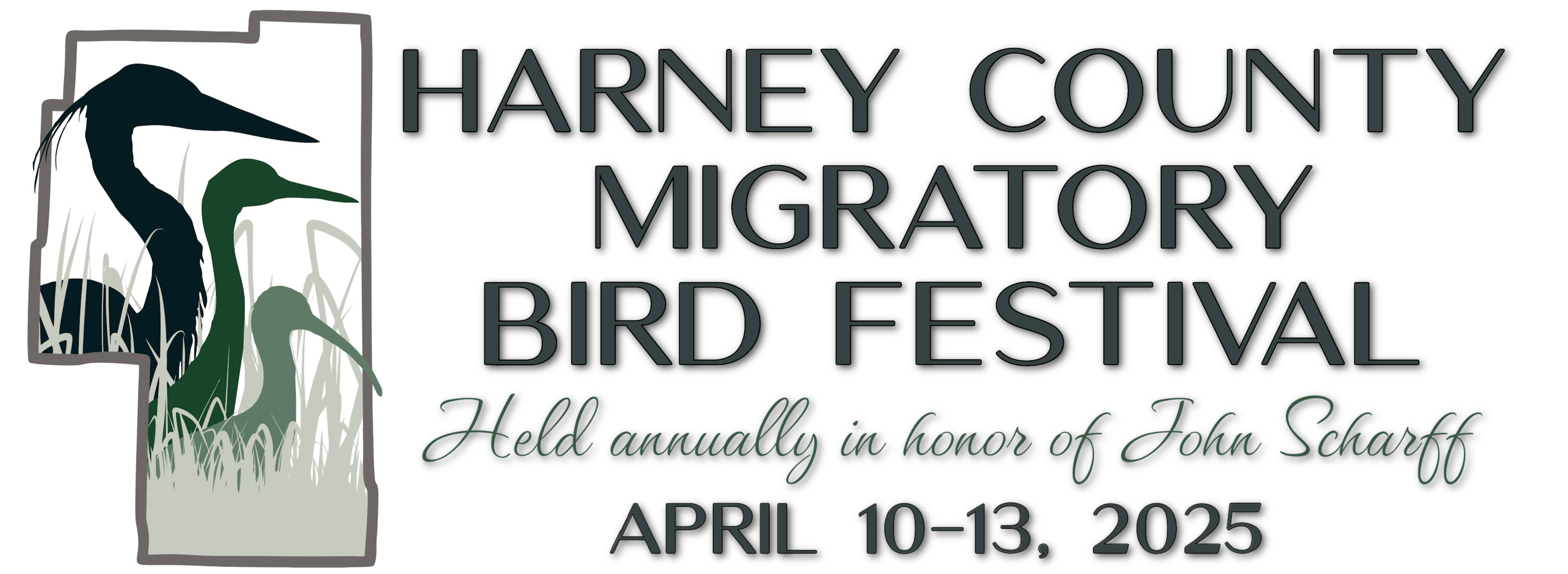 Migratory Bird Festival