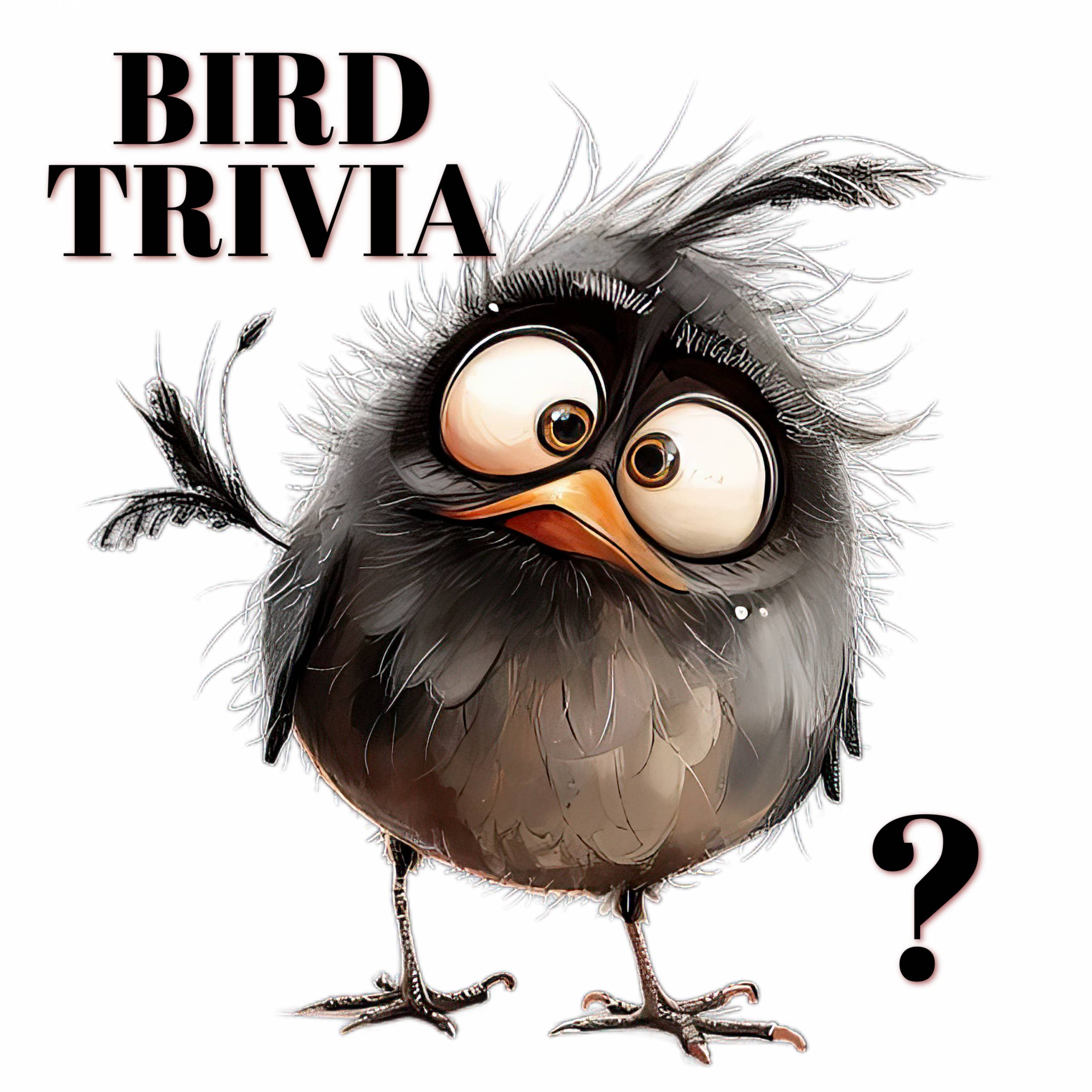 BirdTrivia