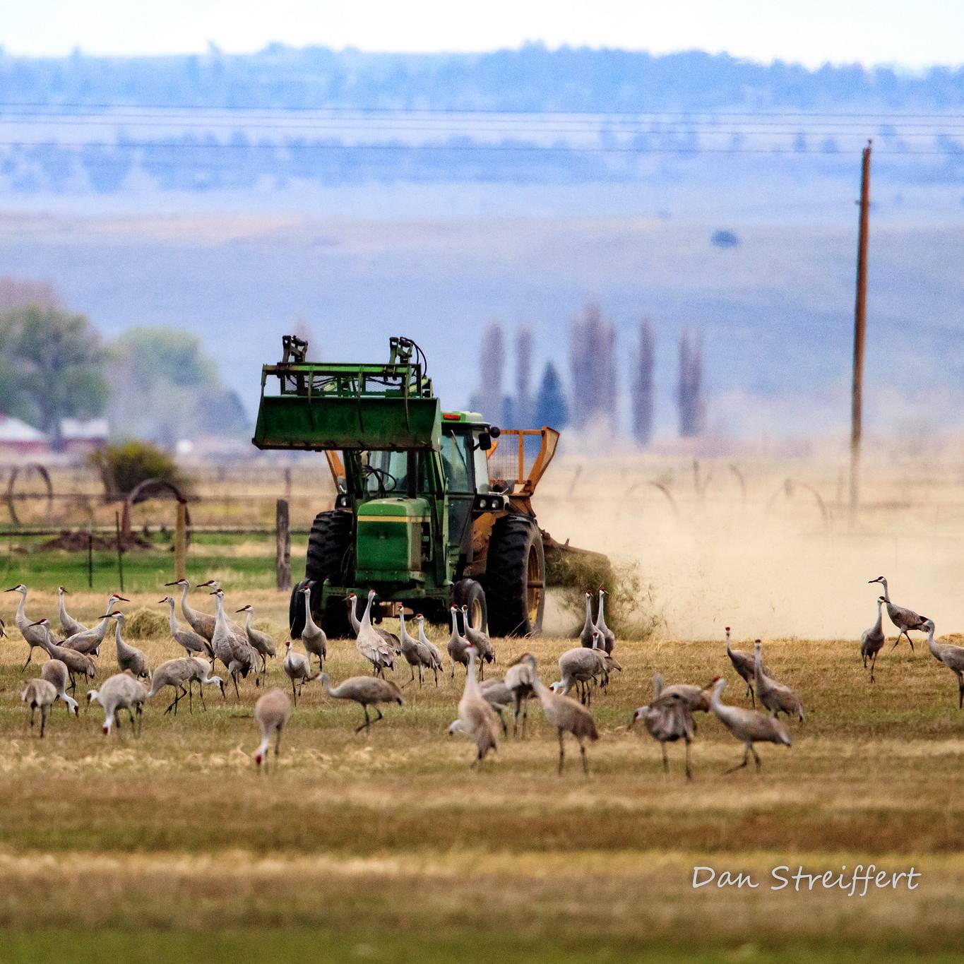 RanchTour_DanStreiffert